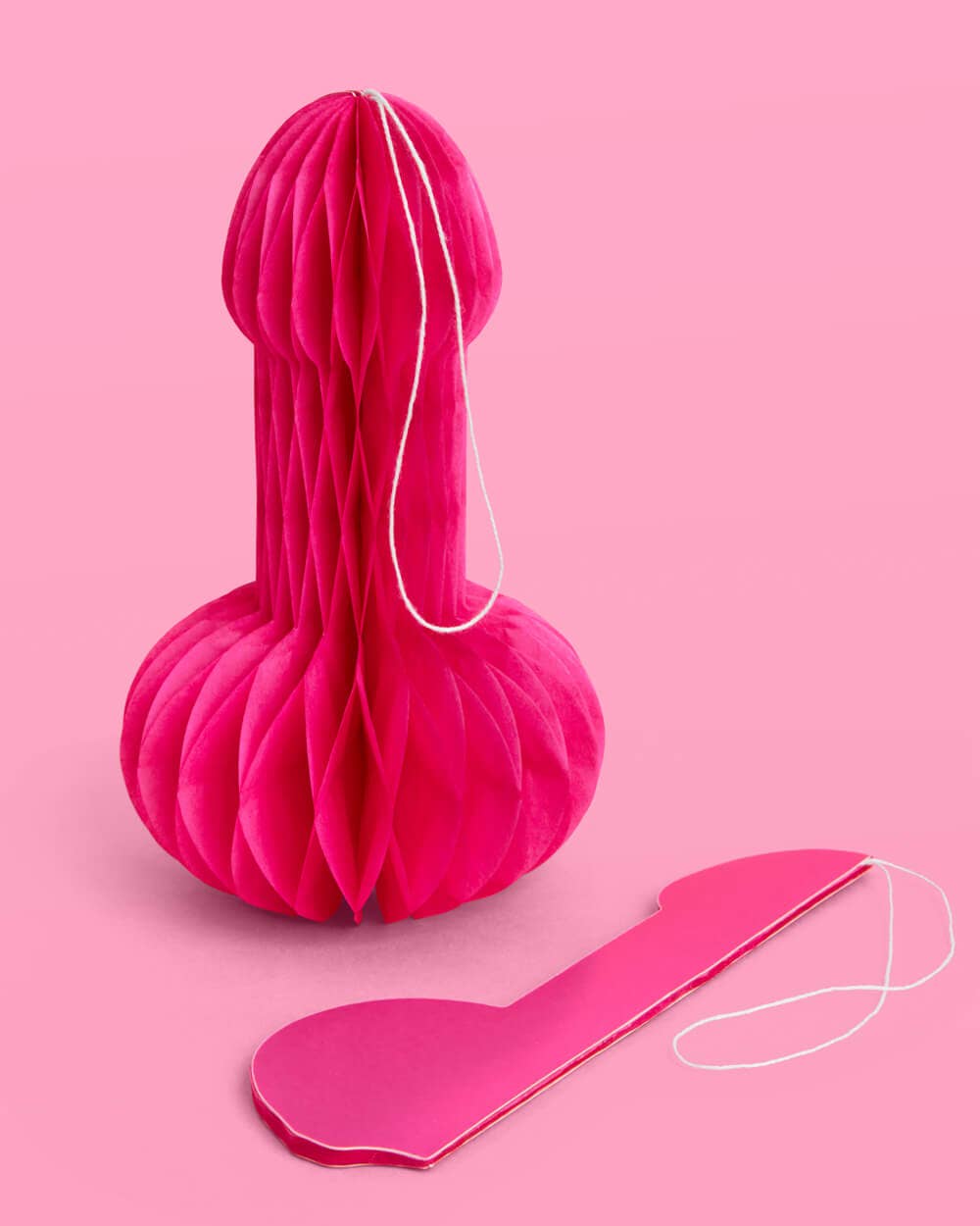 Bachelorette Party Penis Paper Accordion