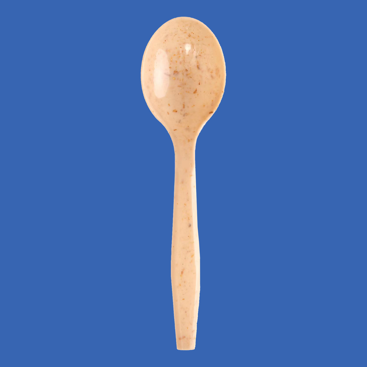 EcoCentury Wheat Straw Fibre Spoon 1000/case