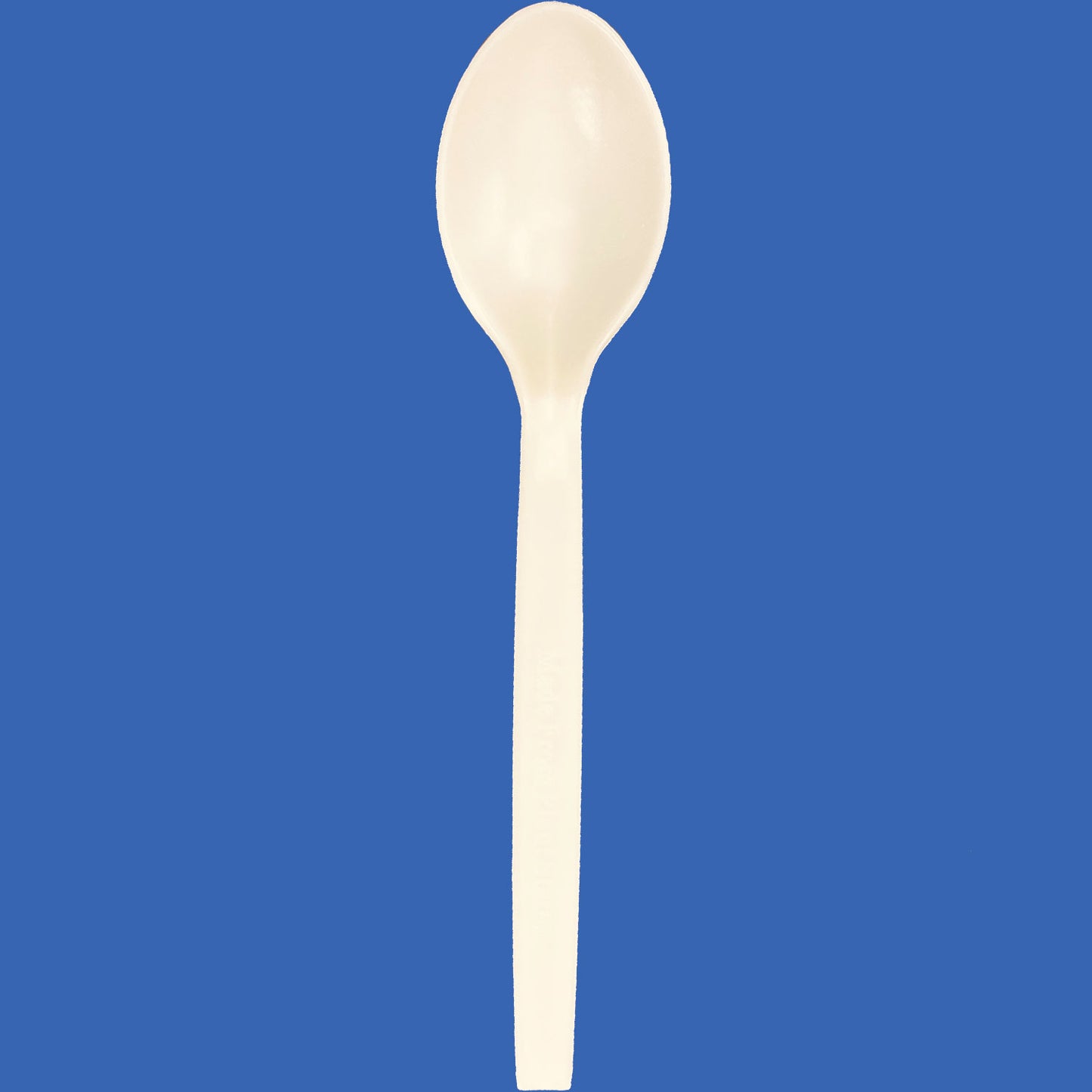 EcoCentury Biodegradable 7" Spoon 1000/case
