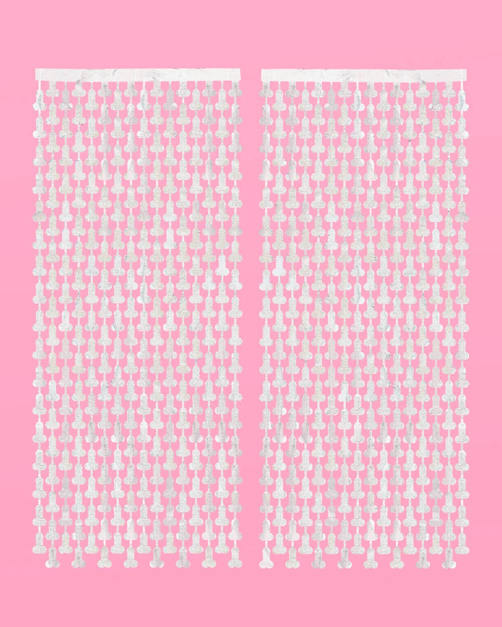 Bachelorette Party Penis Foil Curtain